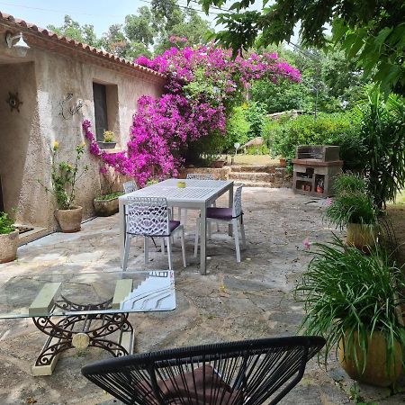 Maisonnette A La Campagne San-Gavino-di-Carbini Exteriér fotografie